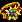 Mystic Ring