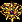 Mystic Ring +2