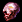 Bellum