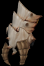 Bloodreaper Vambrace